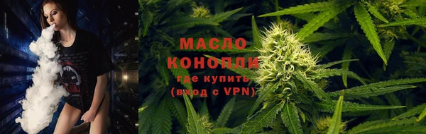 гидра Елабуга