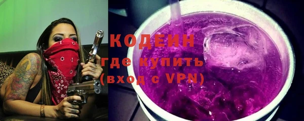 гидра Елабуга