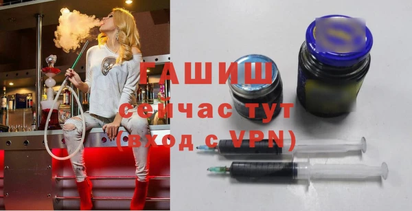 молекула духа Ельня