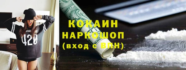 молекула духа Ельня