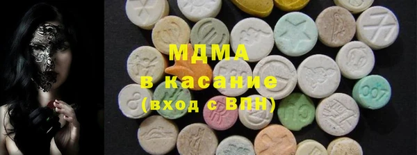 гидра Елабуга