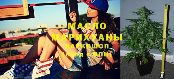 молекула духа Ельня