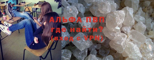 молекула духа Ельня