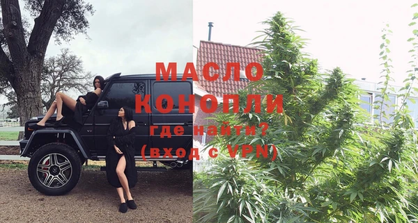 молекула духа Ельня