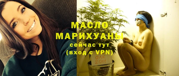 молекула духа Ельня
