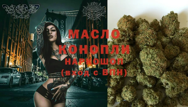 молекула духа Ельня