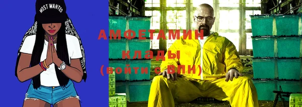 гидра Елабуга