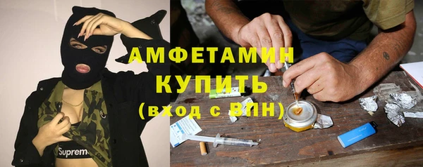 гидра Елабуга