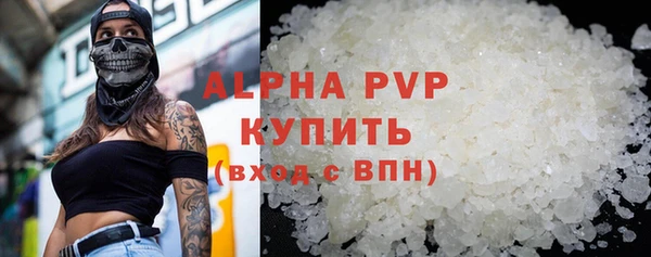 гидра Елабуга